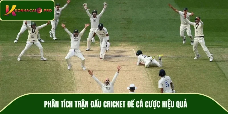 Phân tích trận đấu cricket để cá cược hiệu quả