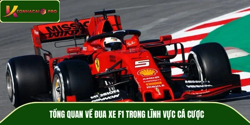 Tổng quan về đua xe F1 trong lĩnh vực cá cược