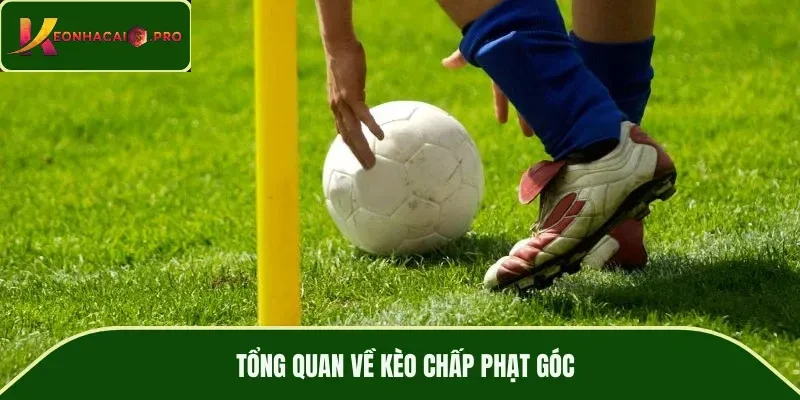 Tổng quan về kèo chấp phạt góc
