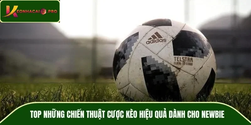 TOP những chiến thuật cược kèo hiệu quả dành cho newbie