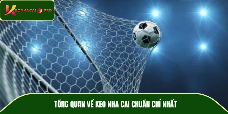 Tổng quan về keo nha cai chuẩn chỉ nhất